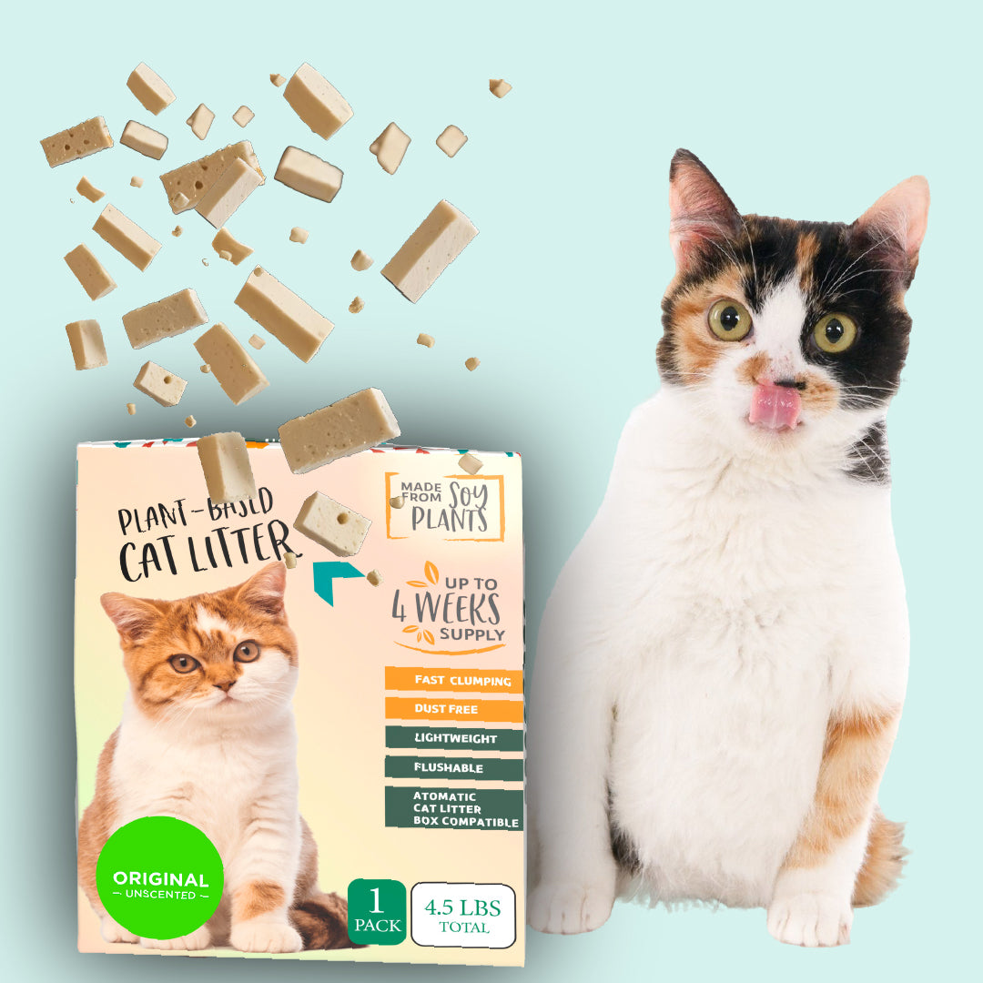 Embrace Sustainable Cat Care