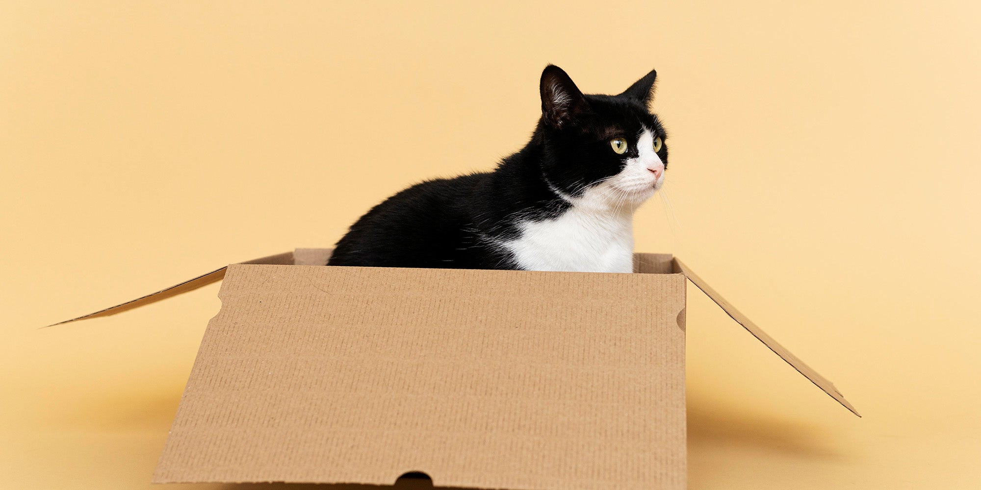 Warehouse Moving Sale: Behind the Scenes of the 30% Discount