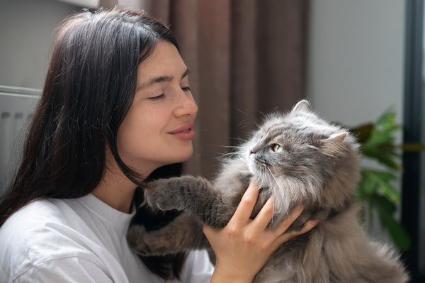 Cat Cleanliness: Beyond the Box, Embracing Scents and Well-being