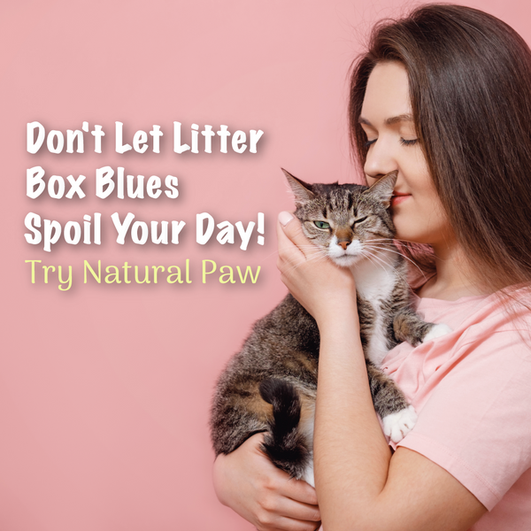 Say Goodbye to Clay! The Ultimate Guide to Natural Paw Tofu Litter