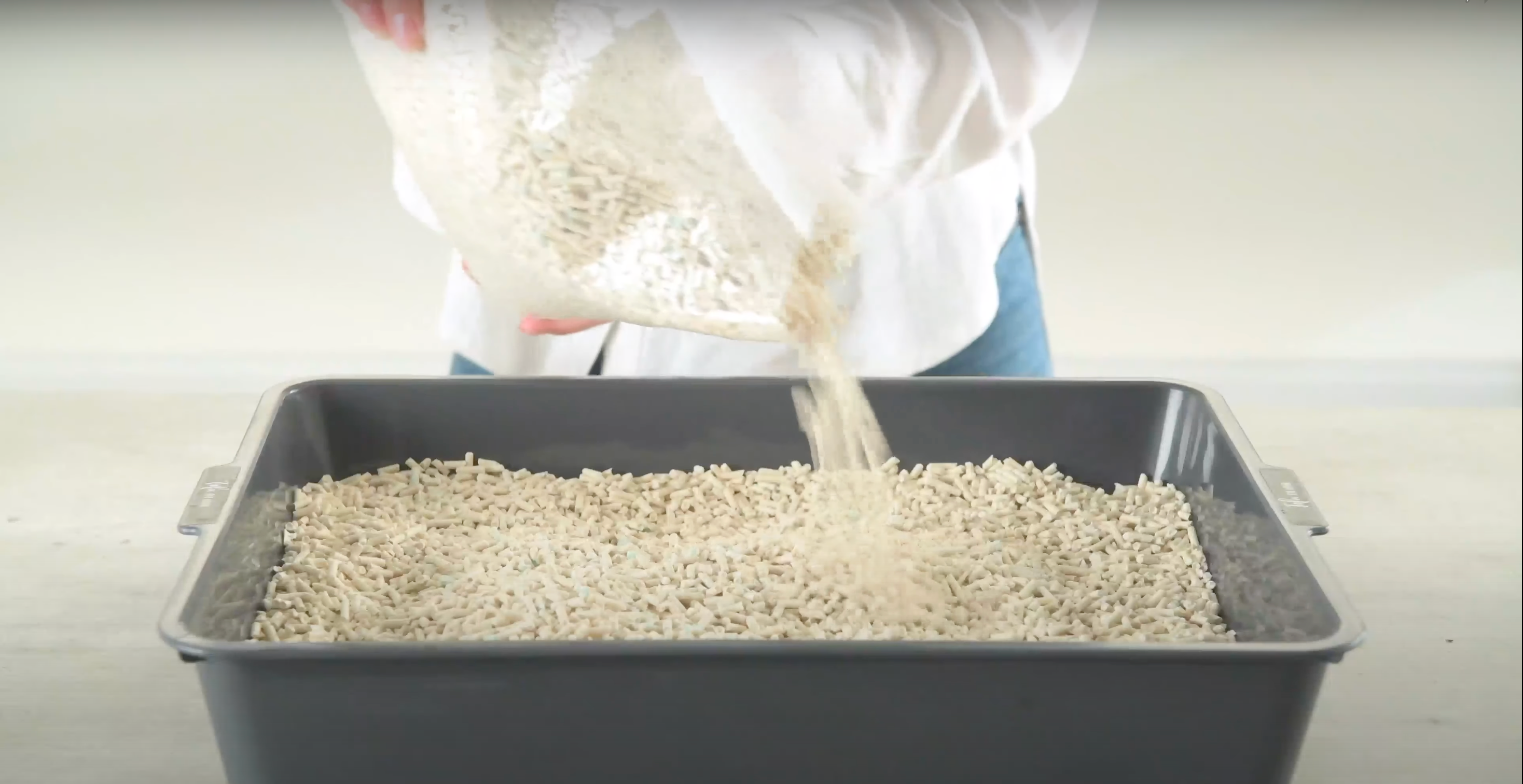 How to Clean Tofu Cat Litter