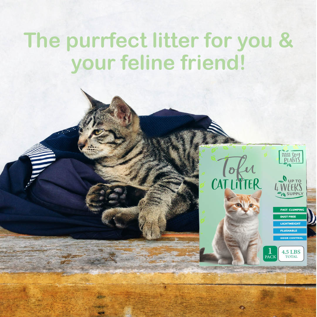 Cat's Meow of Clean: Why Tofu Litter is the Purrfect Choice for Your Feline Friend