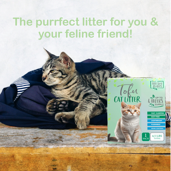 Cat's Meow of Clean: Why Tofu Litter is the Purrfect Choice for Your Feline Friend