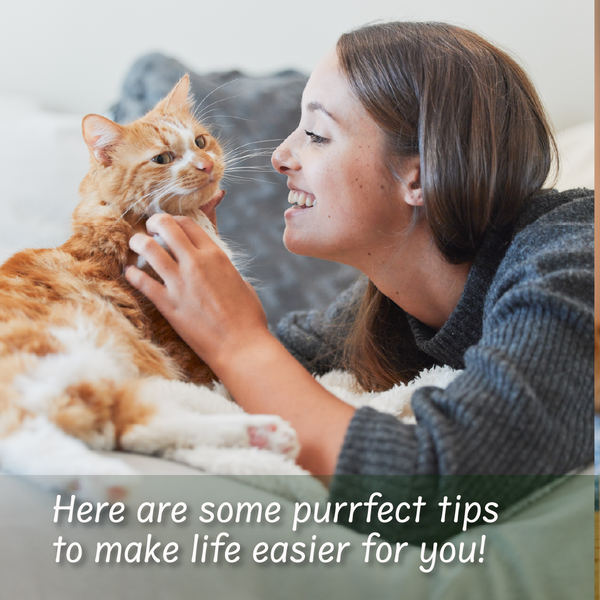 Upgrade Your Cat's Bathroom: 5 Reasons to Switch to Dust-Free Cat Litter