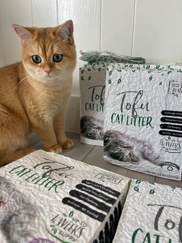 Why More Cat Owners Are Switching to Tofu Litter in 2025